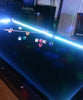8ft Pool Table with LED Light (Display Item Available)